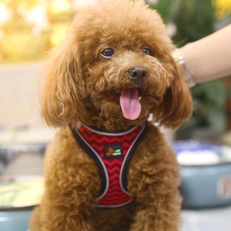 Reflective Stroke Prevention Pet Harness With Leash-3