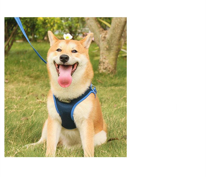 Pet Adventure Chest Harness And Leash Combo-2