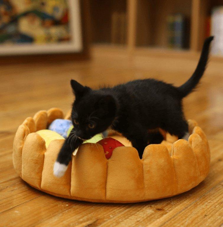 Cozy Fruit Tart Pet Bed - A Sweet Retreat For Your Furry Friends-4