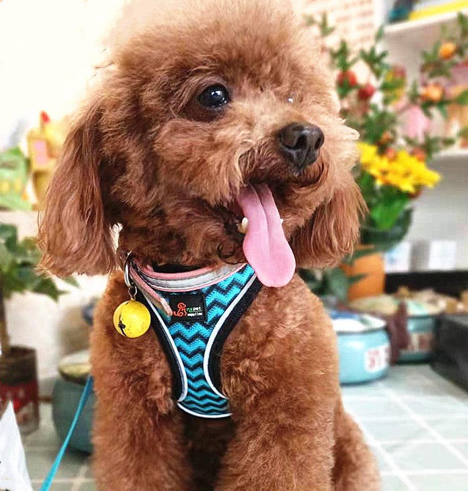 Reflective Stroke Prevention Pet Harness With Leash-0